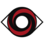 VG Sonic Logo