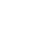 Born To Drive Logo