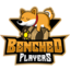 Benched Players Logo
