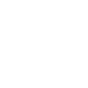 Born To Drive Logo
