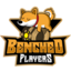 Benched Players Logo