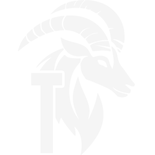 Team Master Support Logo